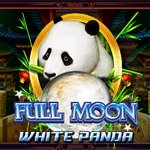 Full Moon: White Panda